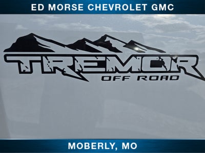 2025 Ford Super Duty F-350 SRW XL